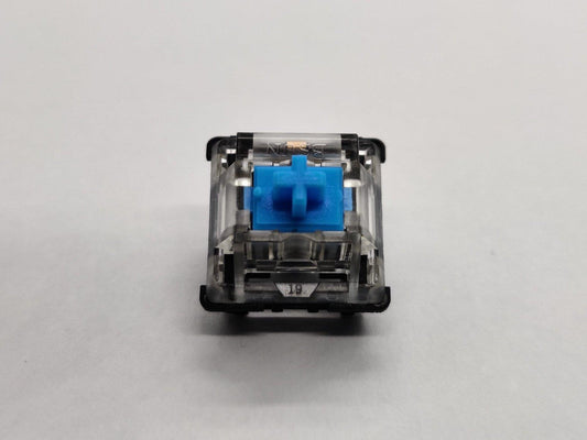 BSUN Blue
