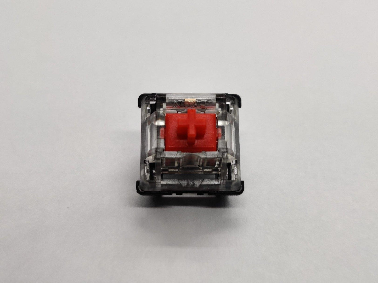 BSUN Red