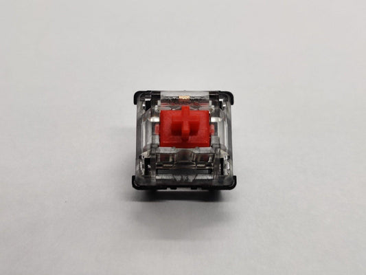 BSUN Red