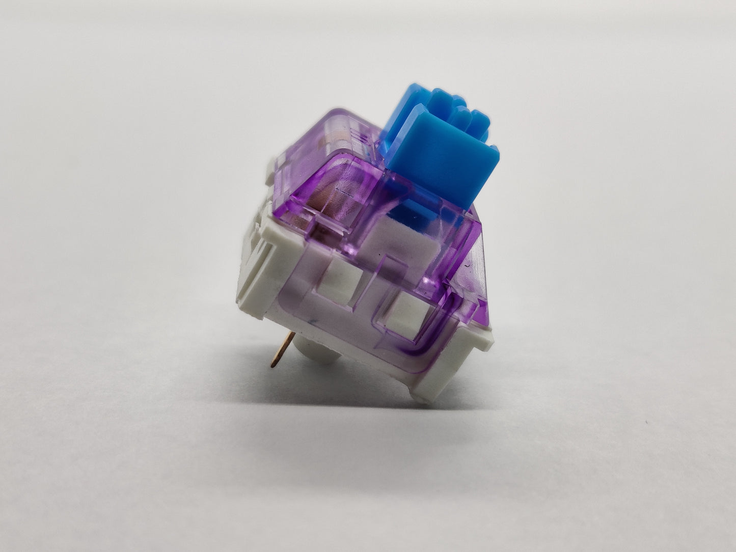 LCET Blue and Purple