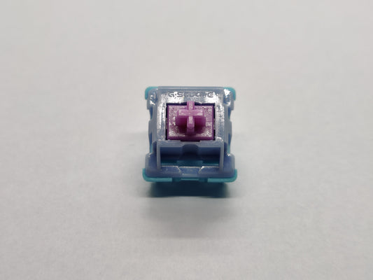 G-Square Dreamland Linear