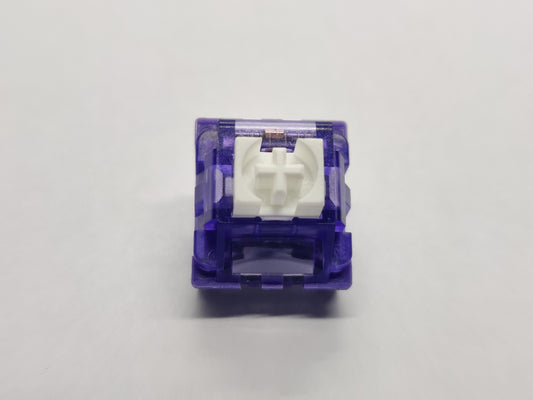 Iceberg Purple V2