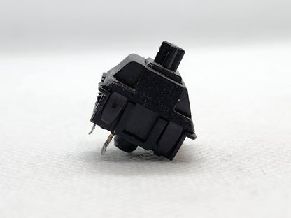 Aristotle Black