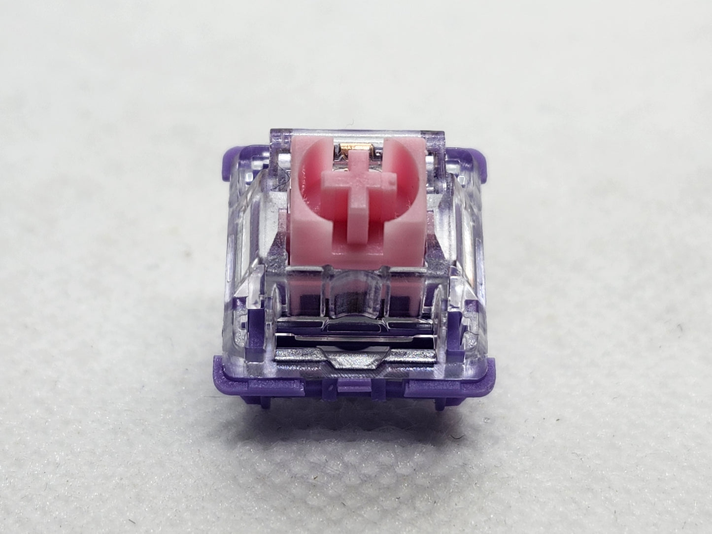 FLCMMK Bauhinia Orchids