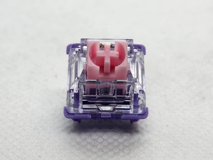 FLCMMK Bauhinia Orchids