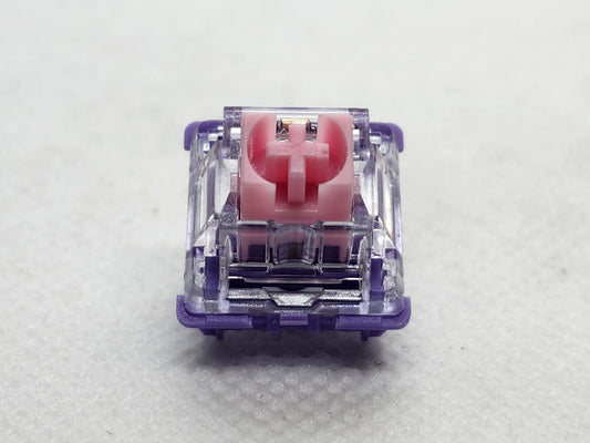 FLCMMK Bauhinia Orchids