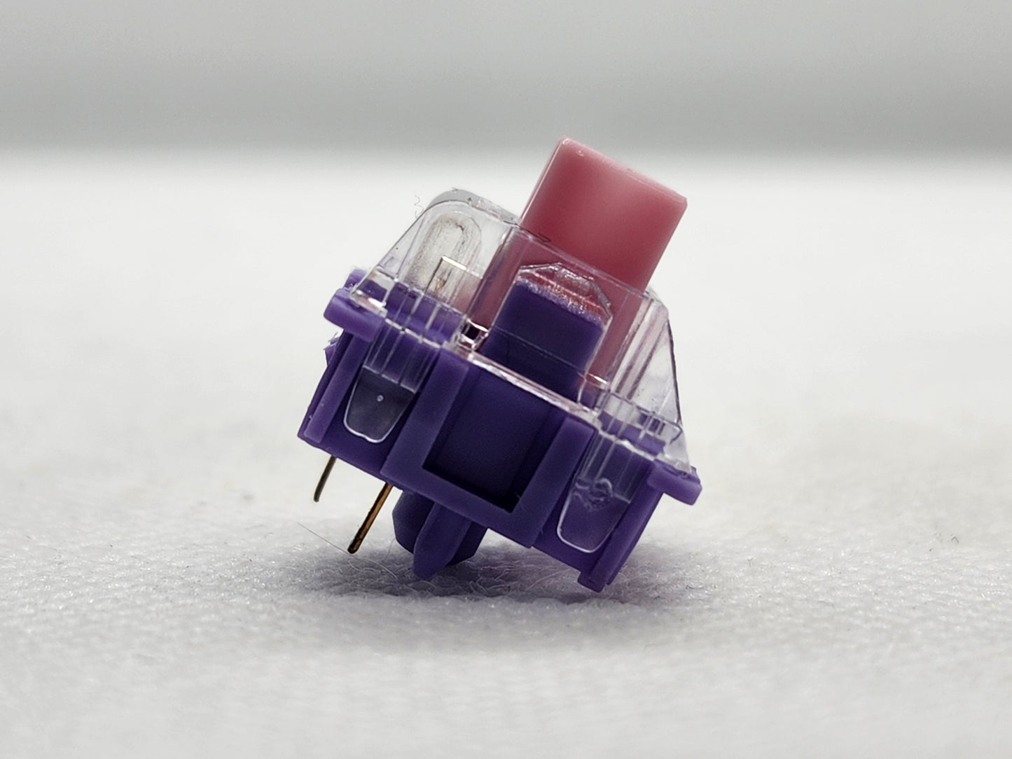 FLCMMK Bauhinia Orchids