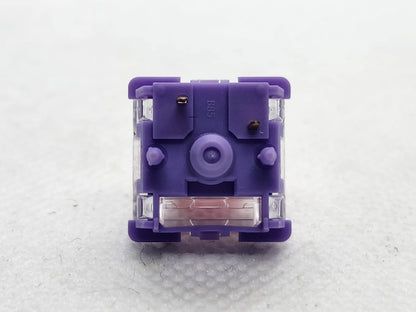 FLCMMK Bauhinia Orchids