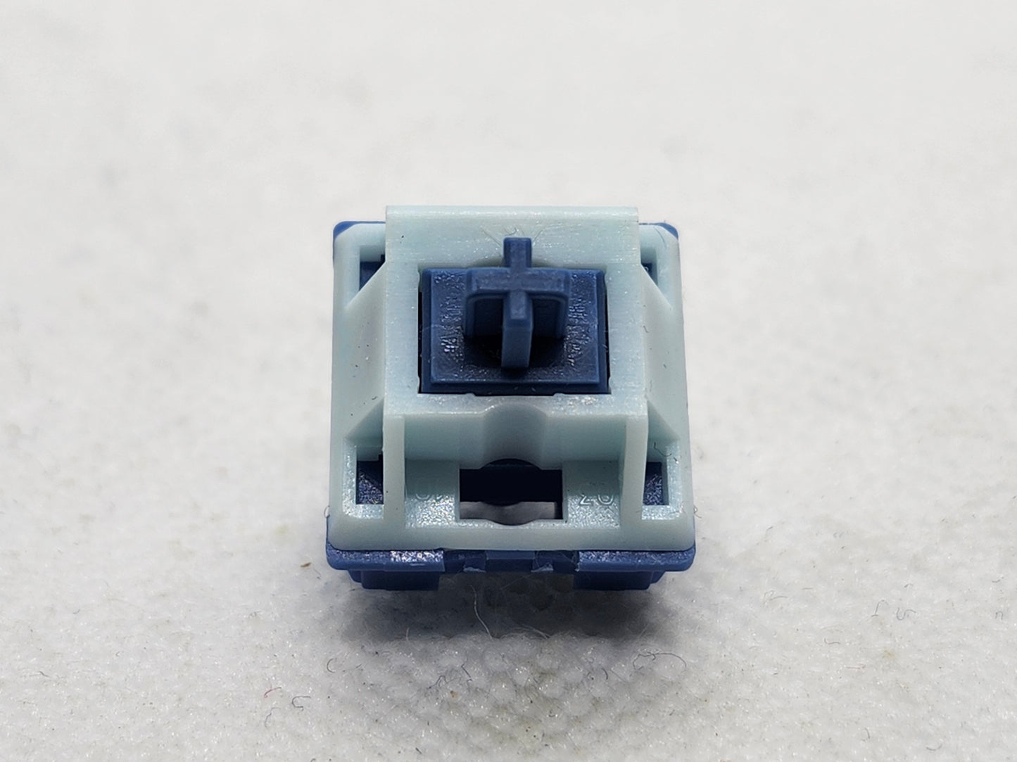 KTT Blue Flutter