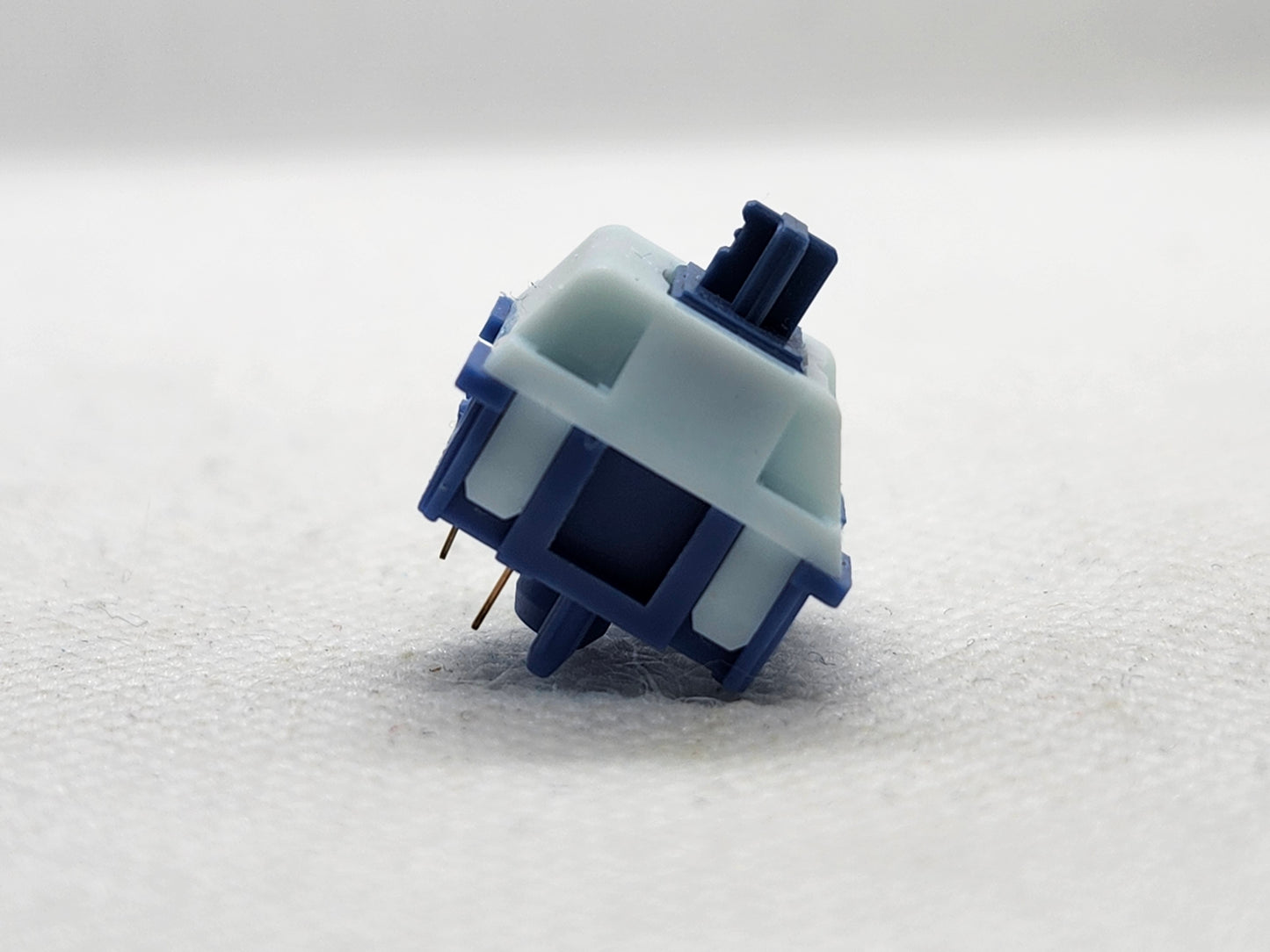 KTT Blue Flutter