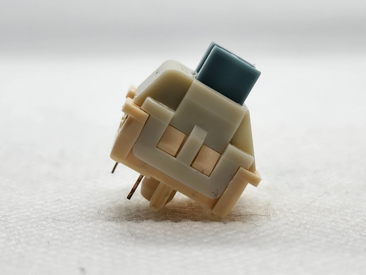 Epomaker Budgerigar V2?