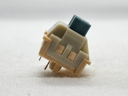 Epomaker Budgerigar V2?