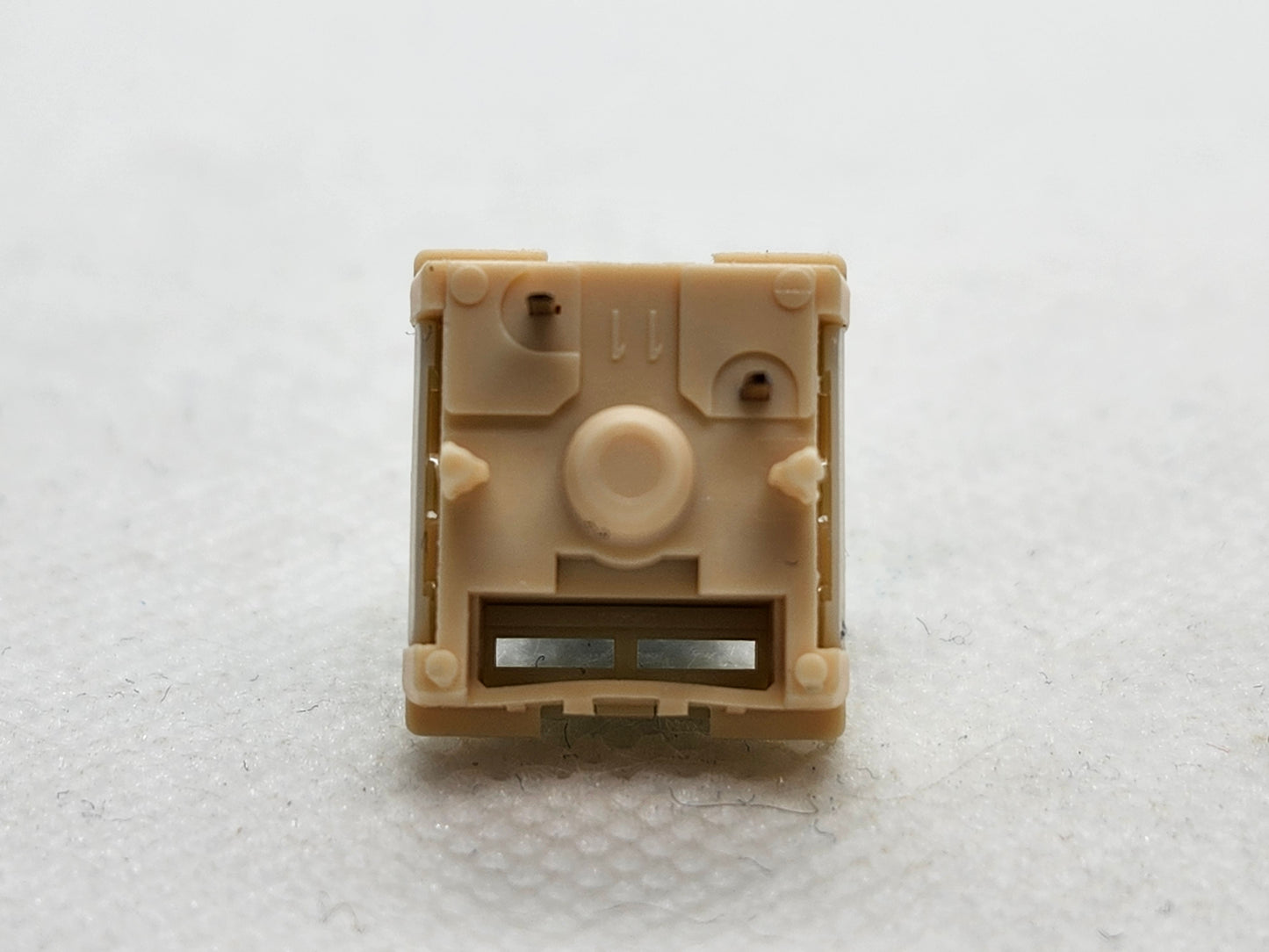 Epomaker Budgerigar V2?