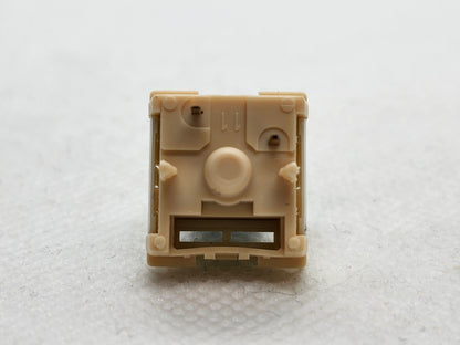 Epomaker Budgerigar V2?