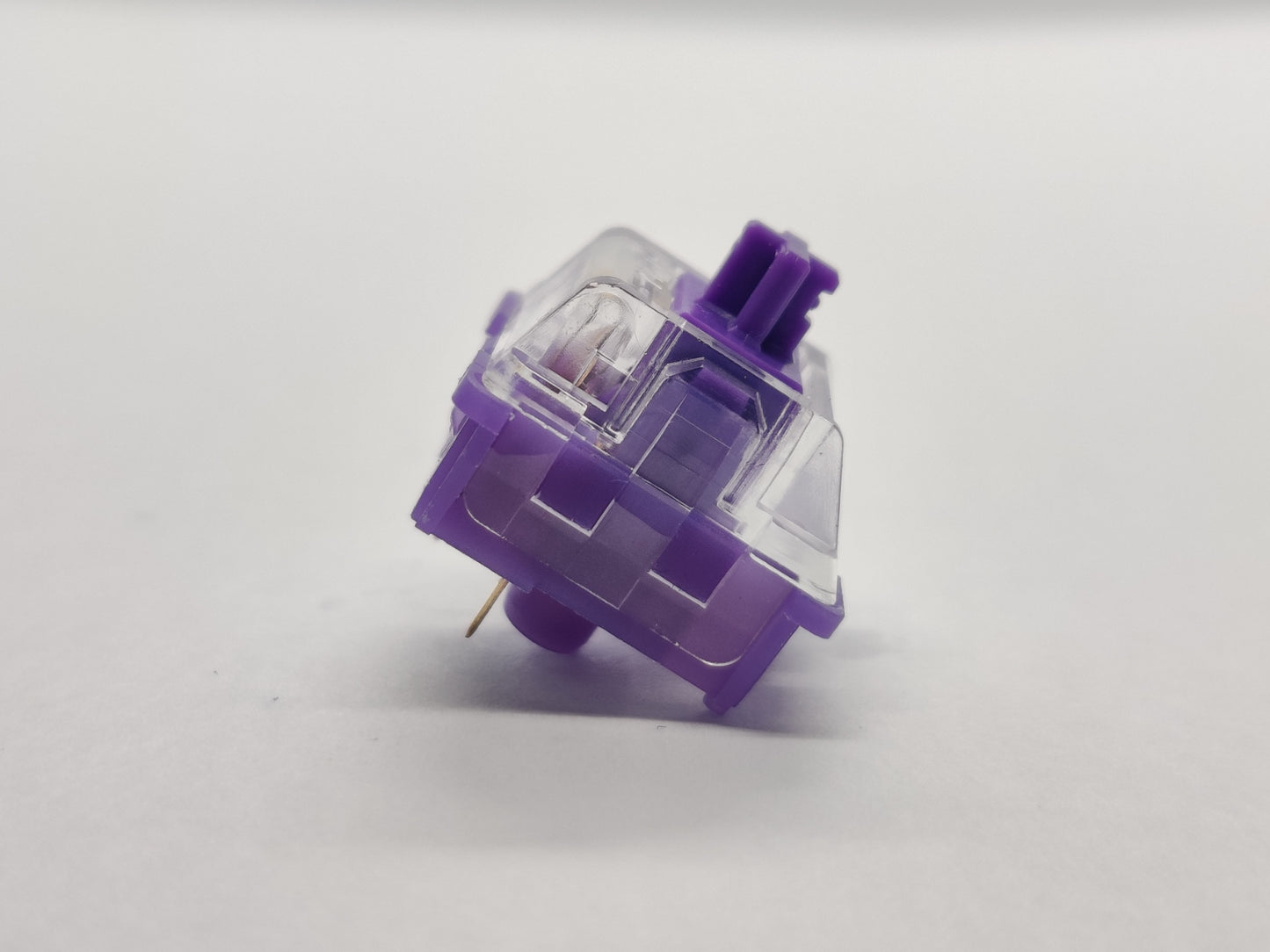 CIY Evo Purple S