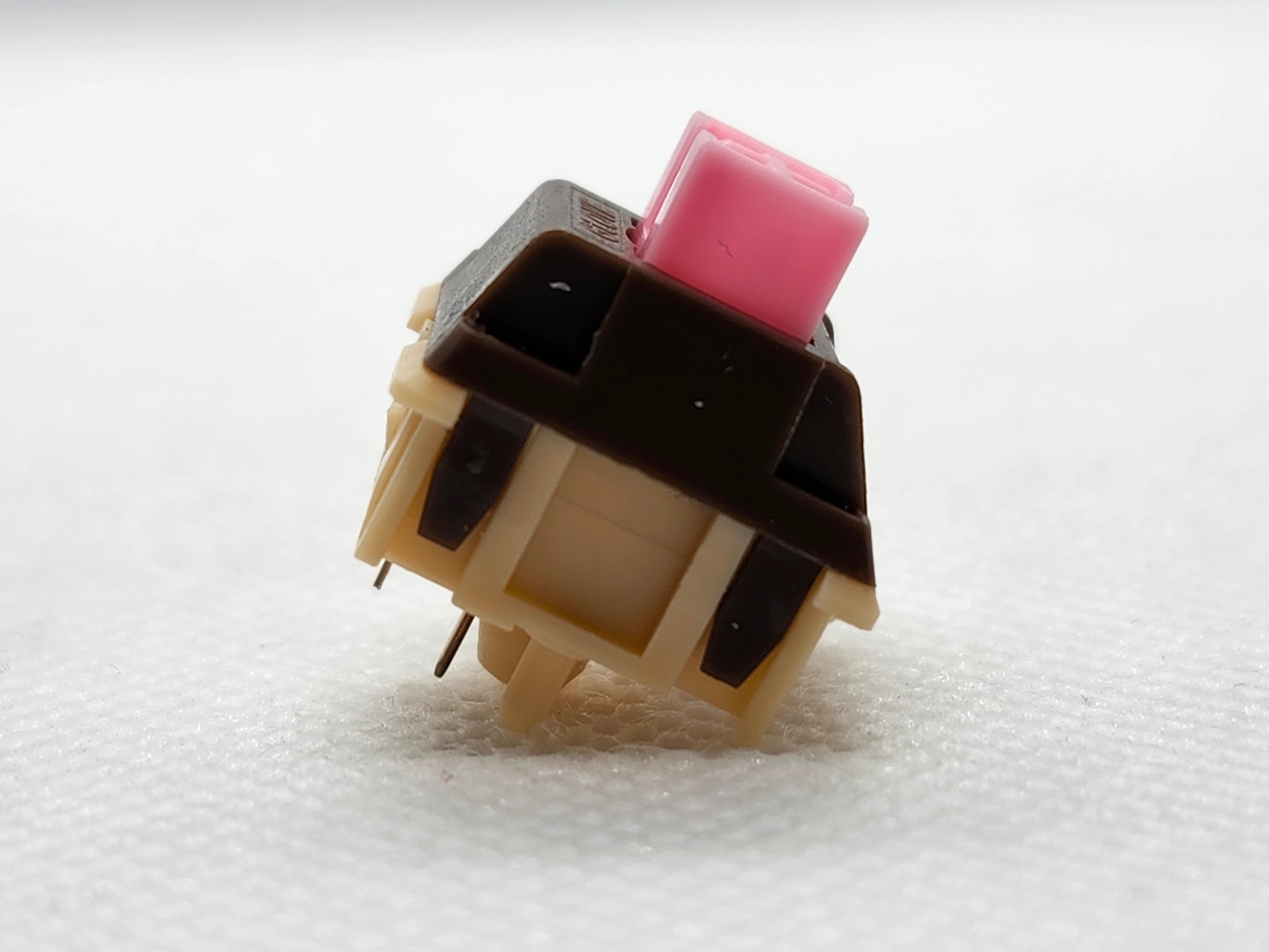 Our Catalog SwitchOddities