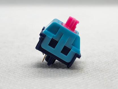G-Square Dreamland Tactile