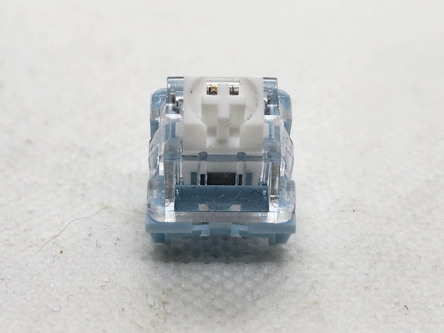 FLCMMK Blue