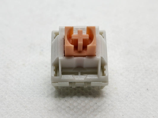 TTC Heroic Panda