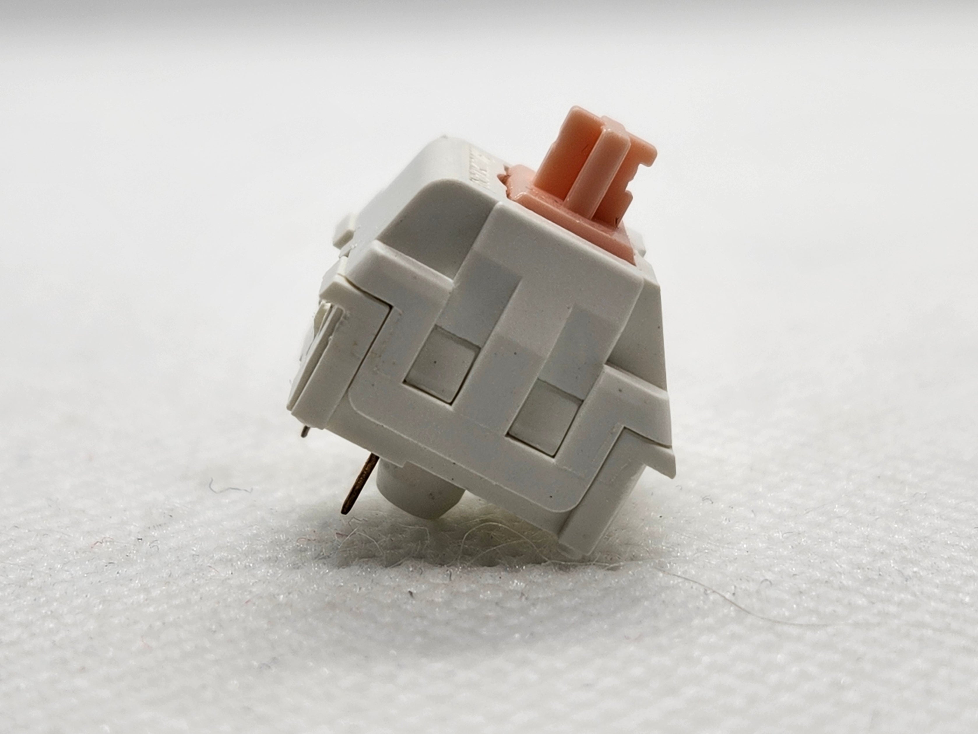 Our Catalog SwitchOddities