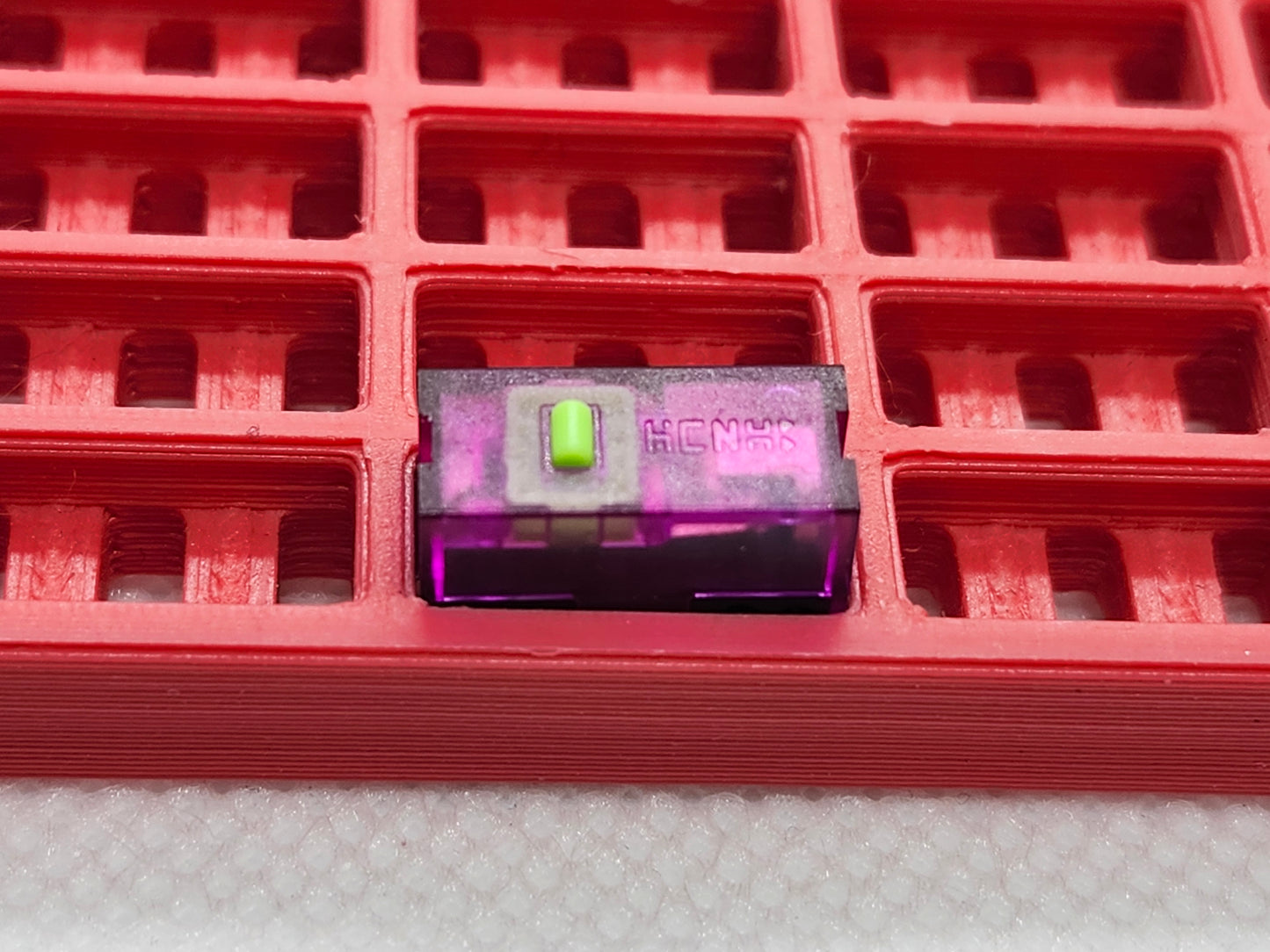HCNHK EVA Purple Green