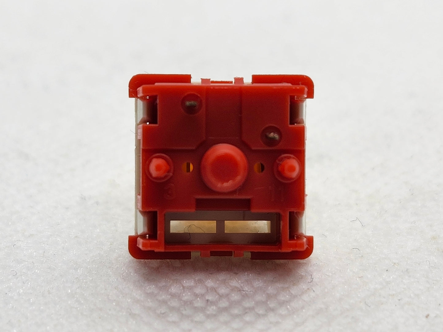 Little Tyrant Red