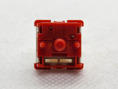 Little Tyrant Red