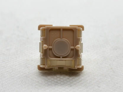 Mintcaps Raze Magnetic