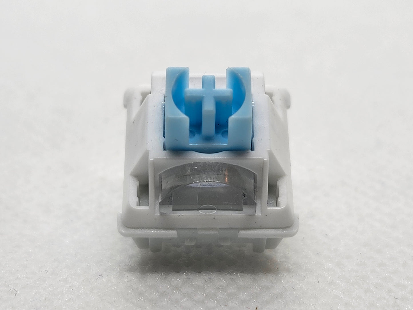 Snow Leopard V2 Blue