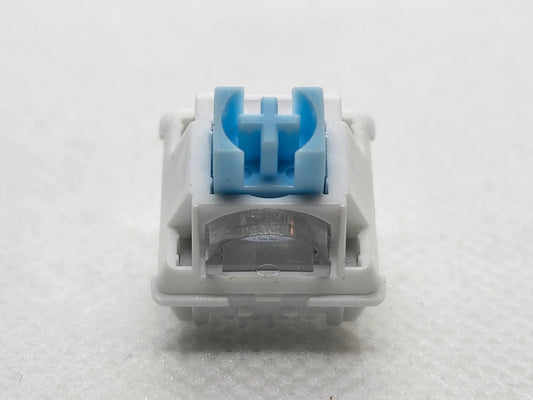 Snow Leopard V2 Blue