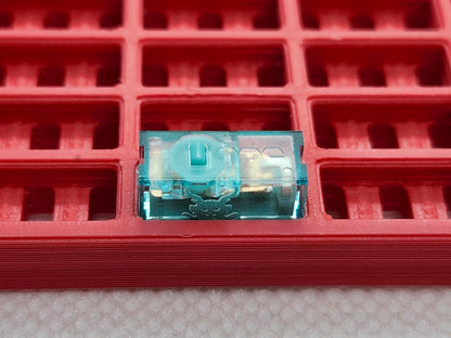TTC Year of the Dragon Microswitch