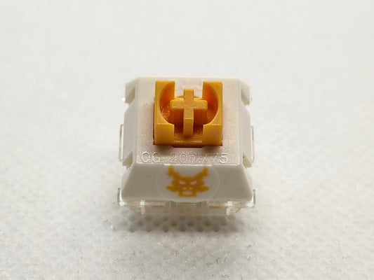 TTC Orange Dragon