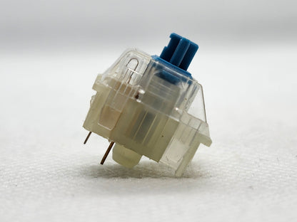 TTC RGB Blue