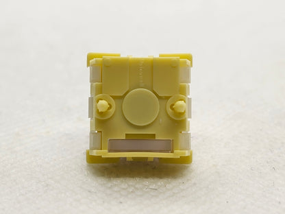 Unionwell Polar Magnetic Pro +