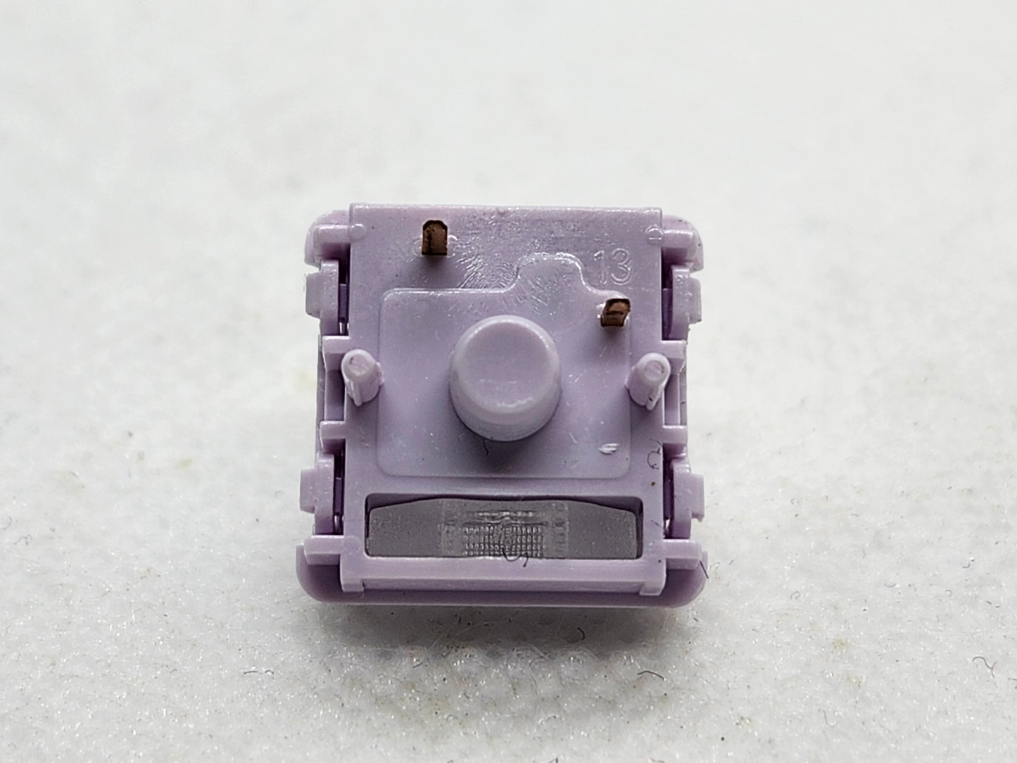 Chilkey (Wuque Studio) Aster