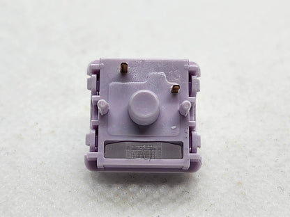 Chilkey (Wuque Studio) Aster