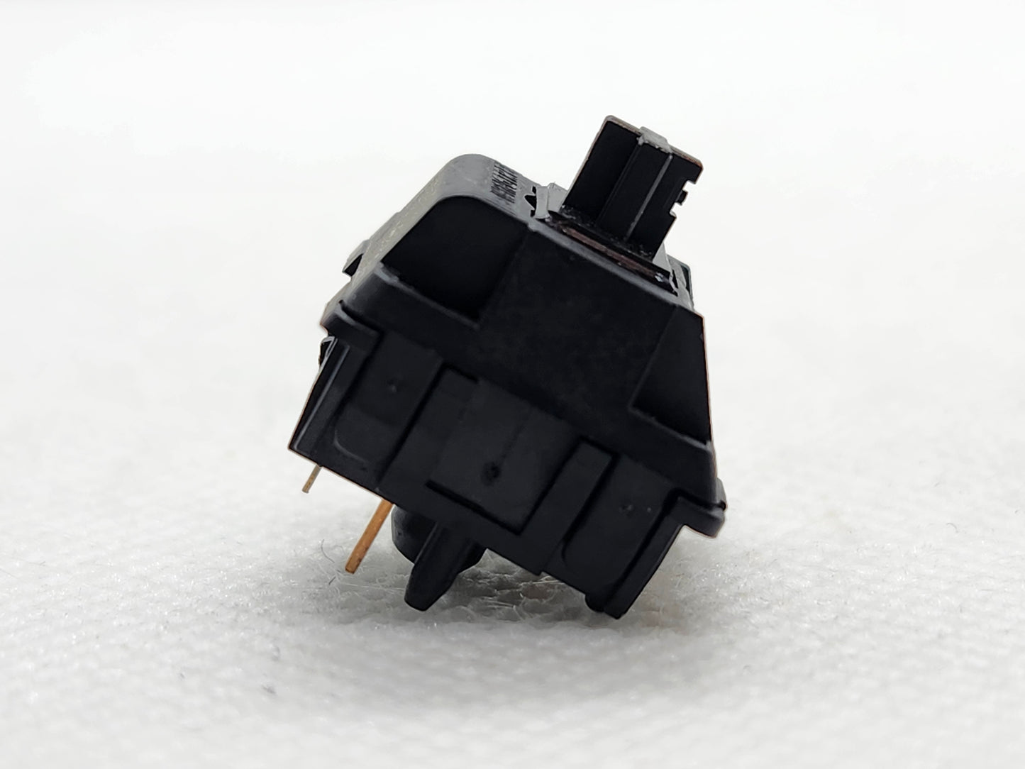 Wingtree Yuying Linear