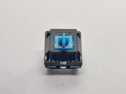 Zorro Blue (Black Housing)