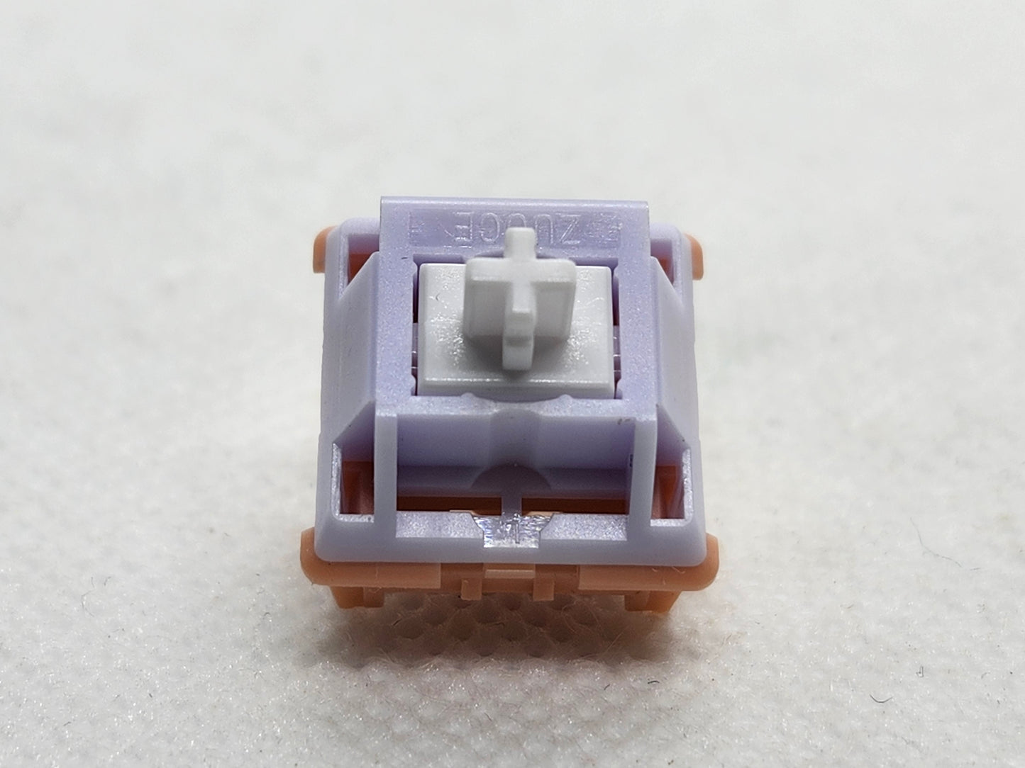 Zuoce Studios Daibai