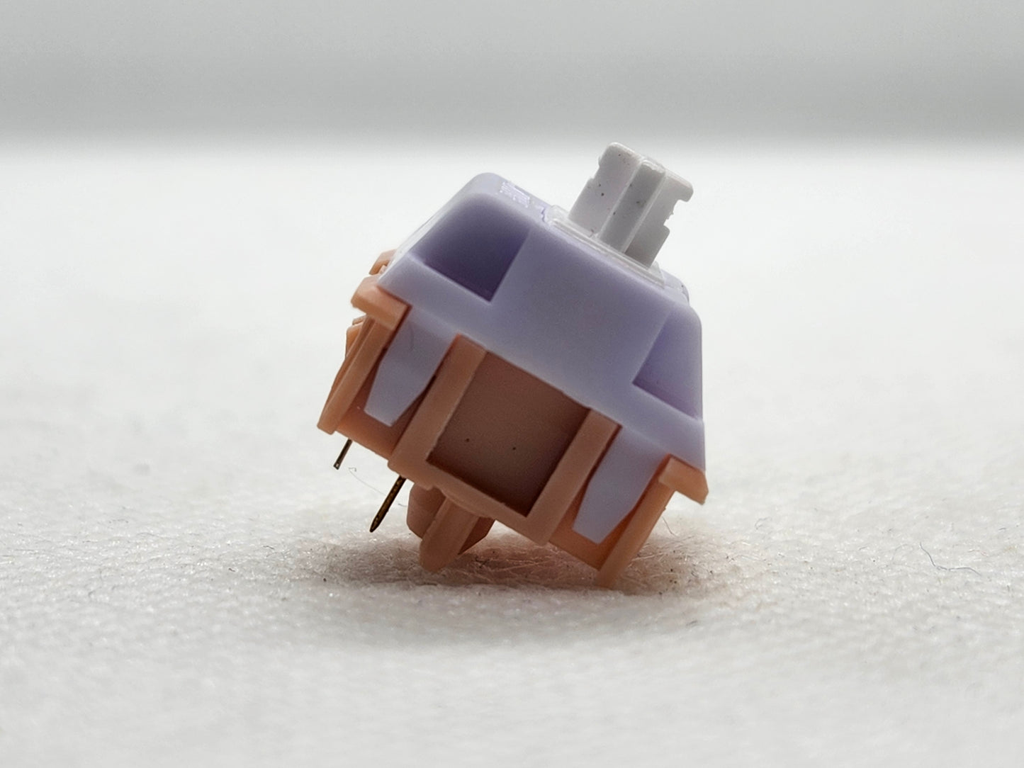 Zuoce Studios Daibai