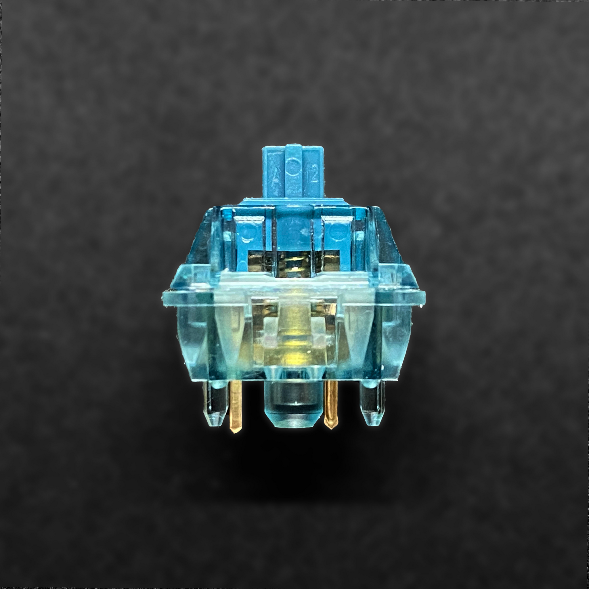 dk x JWK Bluey SwitchOddities