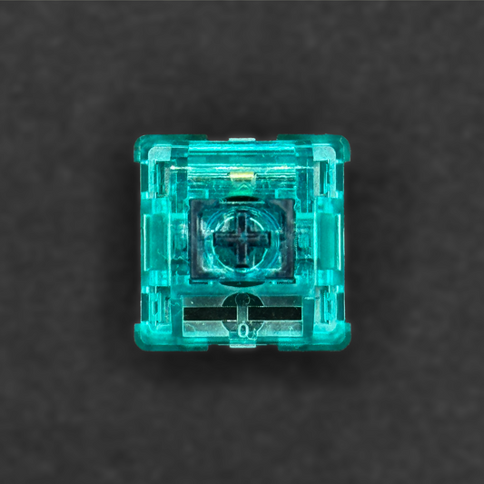 WS Akuamarin