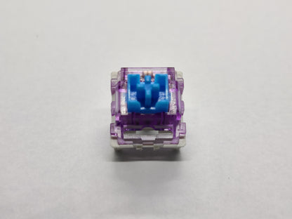 LCET Blue and Purple