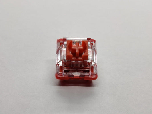 Jerrzi Coral