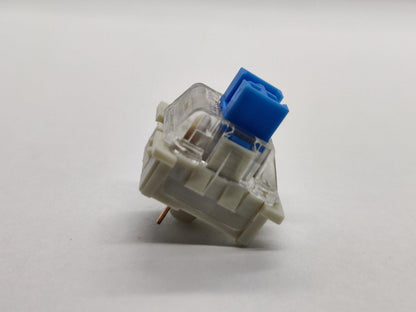NewGiant Dustproof Blue