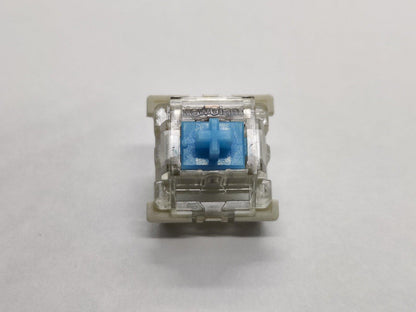 NewGiant Light Blue