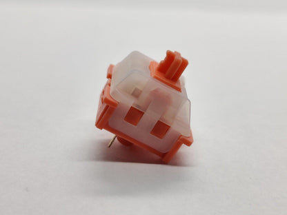 Reccazr KU Orange