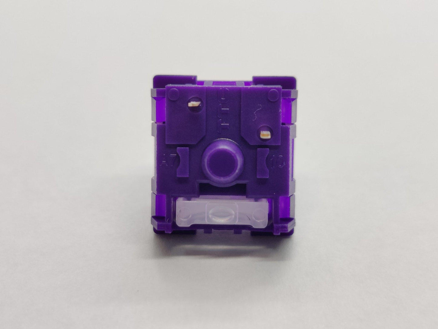 TTC Flaming Purple (POK Stem)